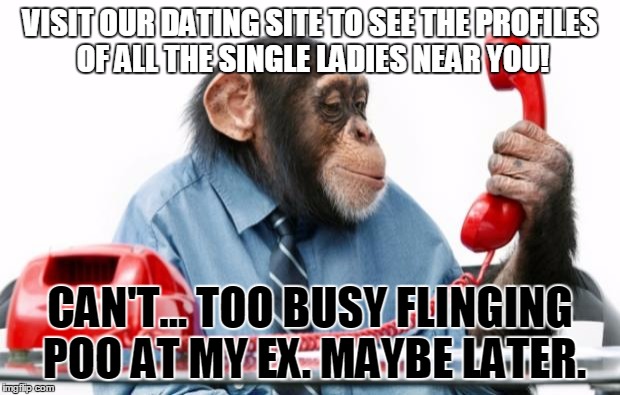 Dating: A fling with the ex | VISIT OUR DATING SITE TO SEE THE PROFILES OF ALL THE SINGLE LADIES NEAR YOU! CAN'T... TOO BUSY FLINGING POO AT MY EX. MAYBE LATER. | image tagged in phonemonkey,dating sites,anti-cupid,poop,ex | made w/ Imgflip meme maker