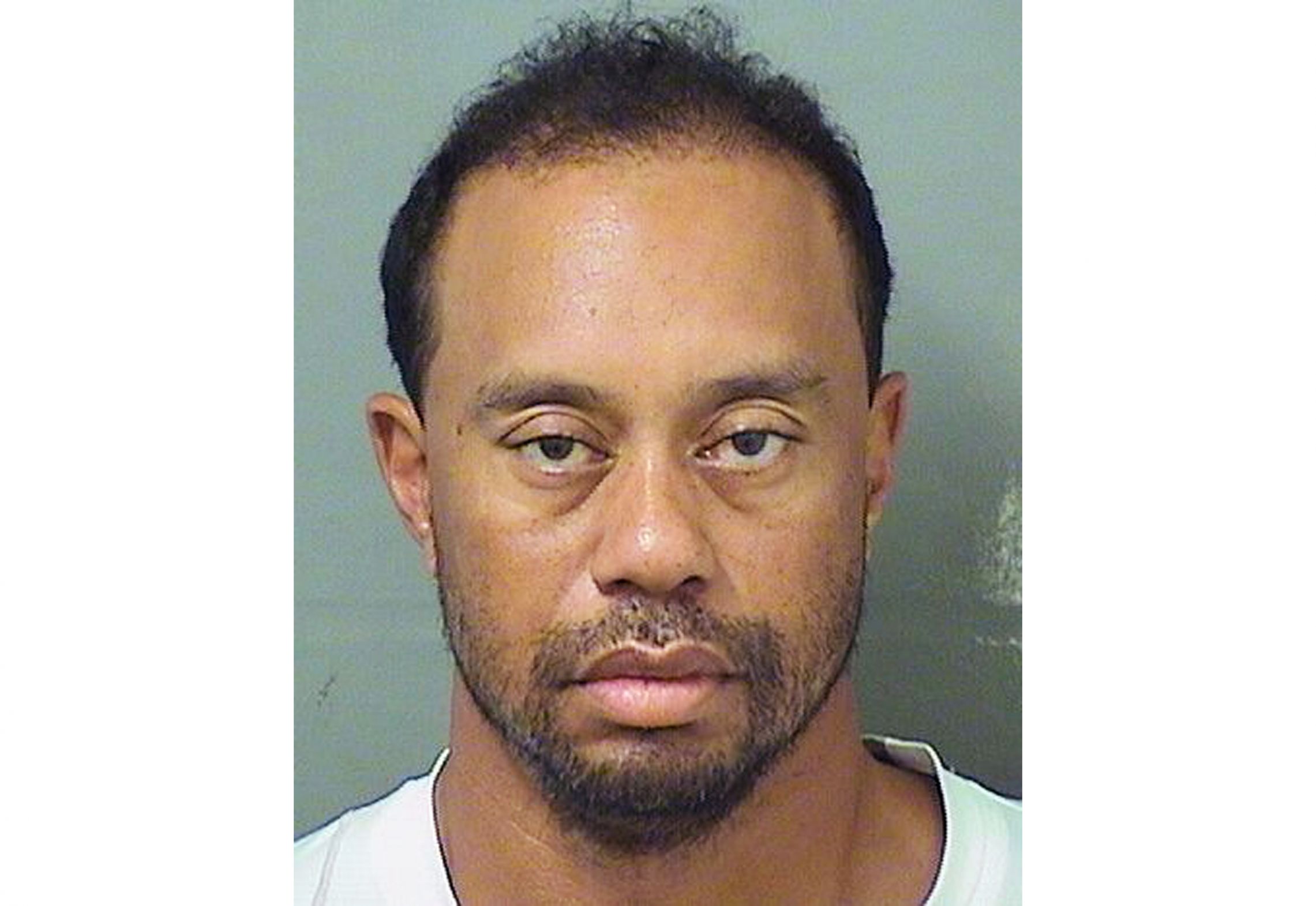 High Quality Tiger Woods Mug Shot Blank Meme Template