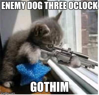 cats with guns | ENEMY DOG THREE OCLOCK; GOTHIM | image tagged in cats with guns | made w/ Imgflip meme maker
