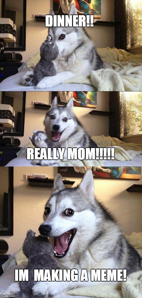 Bad Pun Dog Meme | DINNER!! REALLY MOM!!!!! IM  MAKING A MEME! | image tagged in memes,bad pun dog | made w/ Imgflip meme maker