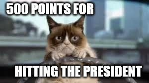 grumpy cat driving | 500 POINTS FOR; HITTING THE PRESIDENT | image tagged in grumpy cat driving | made w/ Imgflip meme maker