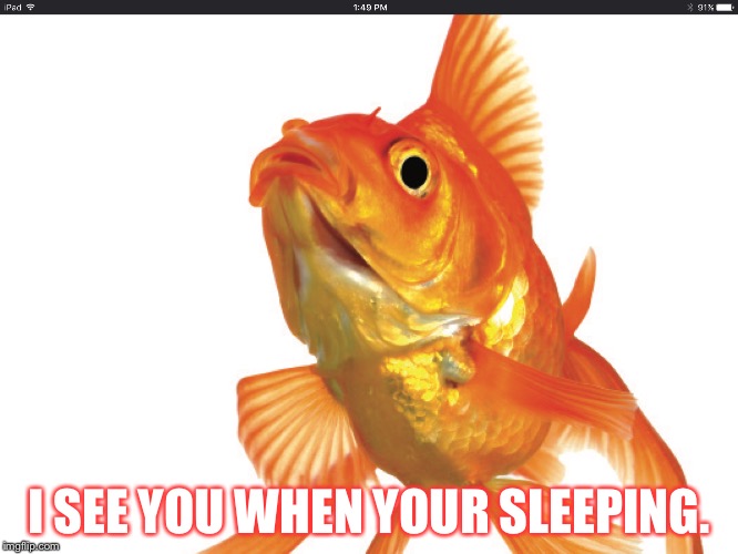 I see you when your sleeping. | I SEE YOU WHEN YOUR SLEEPING. | image tagged in funny,memes | made w/ Imgflip meme maker