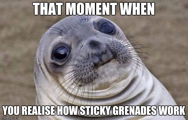 if halo was realistic | THAT MOMENT WHEN; YOU REALISE HOW STICKY GRENADES WORK | image tagged in memes,awkward moment sealion,halo | made w/ Imgflip meme maker