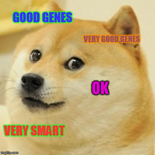 Doge Meme | GOOD GENES; VERY GOOD GENES; OK; VERY SMART | image tagged in memes,doge | made w/ Imgflip meme maker