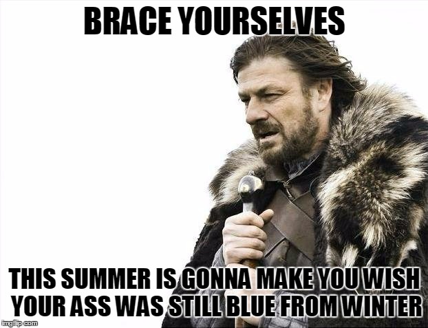 Brace Yourselves X is Coming Meme | BRACE YOURSELVES THIS SUMMER IS GONNA MAKE YOU WISH YOUR ASS WAS STILL BLUE FROM WINTER | image tagged in memes,brace yourselves x is coming | made w/ Imgflip meme maker