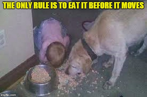 THE ONLY RULE IS TO EAT IT BEFORE IT MOVES | made w/ Imgflip meme maker