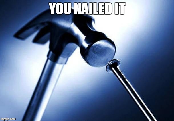 YOU NAILED IT | made w/ Imgflip meme maker
