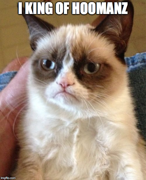 Grumpy Cat Meme | I KING OF HOOMANZ | image tagged in memes,grumpy cat | made w/ Imgflip meme maker