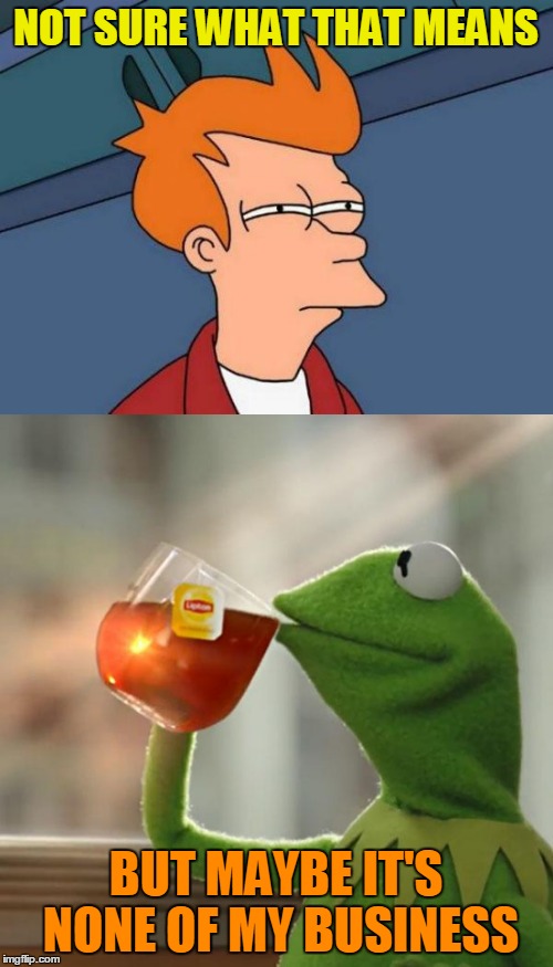 NOT SURE WHAT THAT MEANS BUT MAYBE IT'S NONE OF MY BUSINESS | made w/ Imgflip meme maker