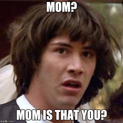 Conspiracy Keanu Meme | MOM? MOM IS THAT YOU? | image tagged in memes,conspiracy keanu | made w/ Imgflip meme maker