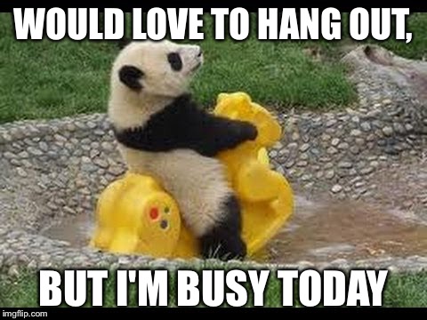 Busy on a workday | WOULD LOVE TO HANG OUT, BUT I'M BUSY TODAY | image tagged in tuesday,first world problems,happy panda,panda,busy | made w/ Imgflip meme maker