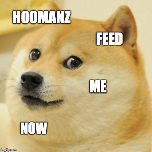 Doge Meme | HOOMANZ; FEED; ME; NOW | image tagged in memes,doge | made w/ Imgflip meme maker