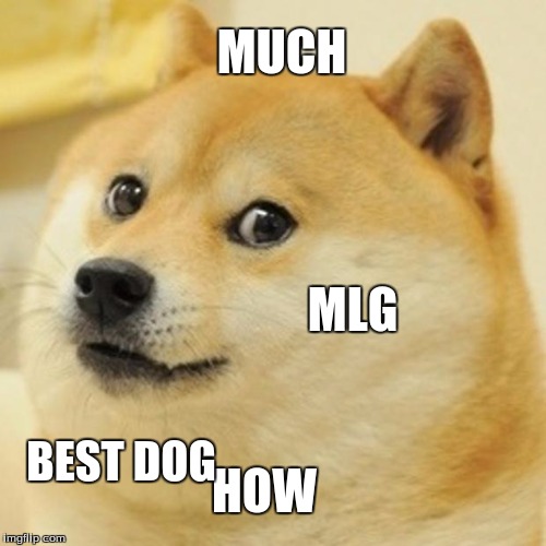 Doge Meme | MUCH; MLG; BEST DOG; HOW | image tagged in memes,doge | made w/ Imgflip meme maker
