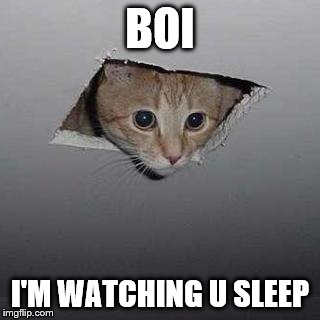 Ceiling Cat | BOI; I'M WATCHING U SLEEP | image tagged in memes,ceiling cat | made w/ Imgflip meme maker