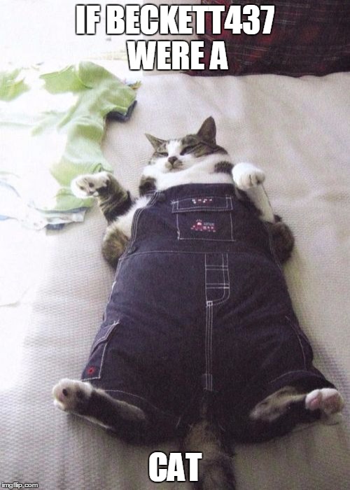Fat Cat Meme | IF BECKETT437 WERE A; CAT | image tagged in memes,fat cat | made w/ Imgflip meme maker