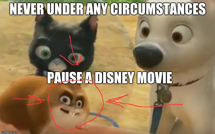 Another reason you should NEVER pause a Disney movie | NEVER UNDER ANY CIRCUMSTANCES; PAUSE A DISNEY MOVIE | image tagged in disney,bolt | made w/ Imgflip meme maker