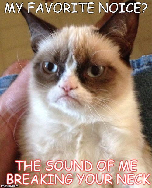 Grumpy Cat | MY FAVORITE NOICE? THE SOUND OF ME BREAKING YOUR NECK | image tagged in memes,grumpy cat | made w/ Imgflip meme maker
