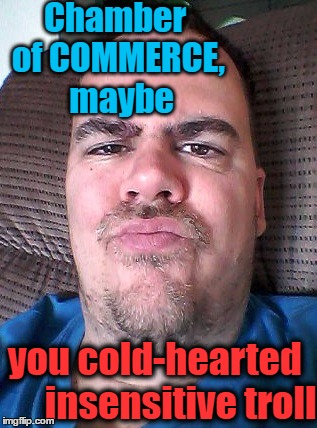 Scowl | Chamber of COMMERCE,  maybe you cold-hearted       insensitive troll | image tagged in scowl | made w/ Imgflip meme maker