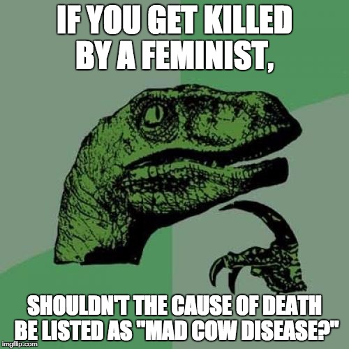 Philosoraptor Meme | IF YOU GET KILLED BY A FEMINIST, SHOULDN'T THE CAUSE OF DEATH BE LISTED AS "MAD COW DISEASE?" | image tagged in memes,philosoraptor | made w/ Imgflip meme maker