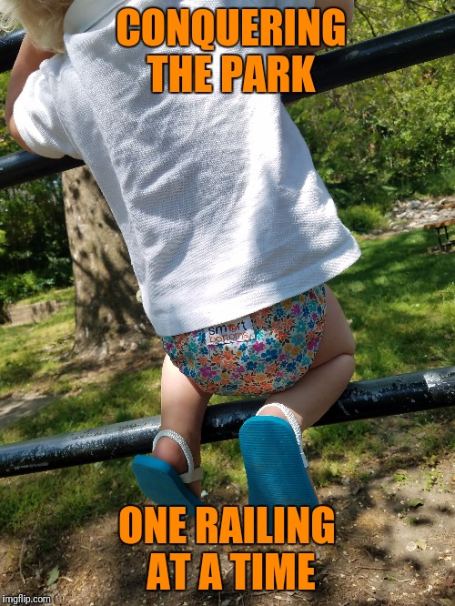 Smart bottoms | CONQUERING THE PARK; ONE RAILING AT A TIME | image tagged in diapers | made w/ Imgflip meme maker
