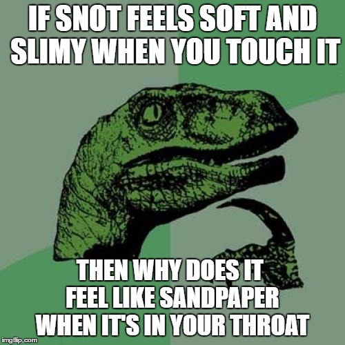 I got seasonal allergies, so I decided to make this | IF SNOT FEELS SOFT AND SLIMY WHEN YOU TOUCH IT; THEN WHY DOES IT FEEL LIKE SANDPAPER WHEN IT'S IN YOUR THROAT | image tagged in memes,philosoraptor | made w/ Imgflip meme maker
