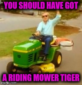 YOU SHOULD HAVE GOT A RIDING MOWER TIGER | made w/ Imgflip meme maker