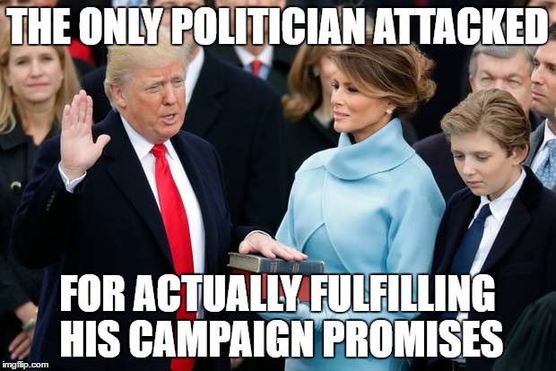 This man has the toughest job in the world | THE ONLY POLITICIAN ATTACKED; FOR ACTUALLY FULFILLING HIS CAMPAIGN PROMISES | image tagged in donald trump swearing in | made w/ Imgflip meme maker