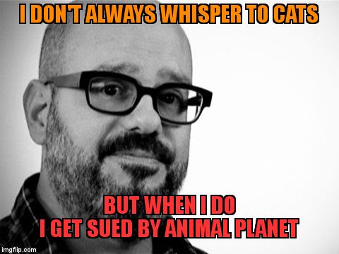 David Cross | I DON'T ALWAYS WHISPER TO CATS; BUT WHEN I DO         I GET SUED BY ANIMAL PLANET | image tagged in david cross | made w/ Imgflip meme maker