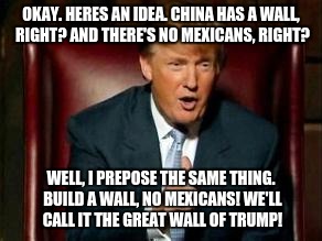 Donald Trump | OKAY. HERES AN IDEA. CHINA HAS A WALL, RIGHT? AND THERE'S NO MEXICANS, RIGHT? WELL, I PREPOSE THE SAME THING. BUILD A WALL, NO MEXICANS! WE'LL CALL IT THE GREAT WALL OF TRUMP! | image tagged in donald trump | made w/ Imgflip meme maker