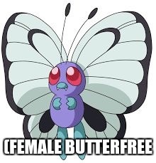 (FEMALE BUTTERFREE | image tagged in female butterfree | made w/ Imgflip meme maker