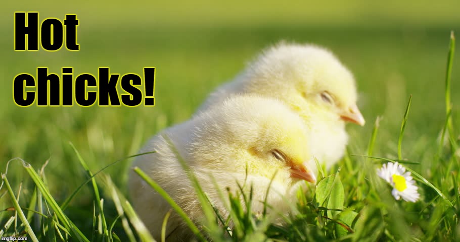 Hot; chicks! | image tagged in hot chicks | made w/ Imgflip meme maker