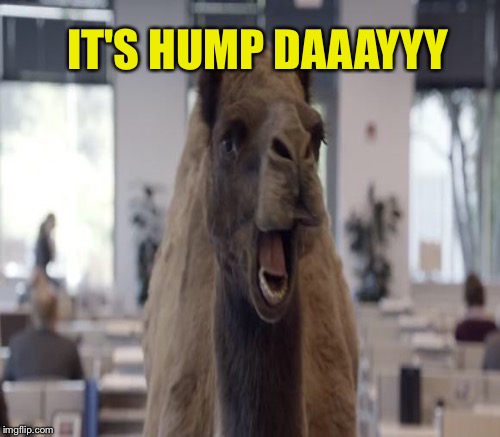 IT'S HUMP DAAAYYY | made w/ Imgflip meme maker