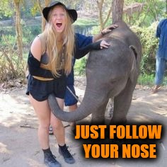 JUST FOLLOW YOUR NOSE | made w/ Imgflip meme maker