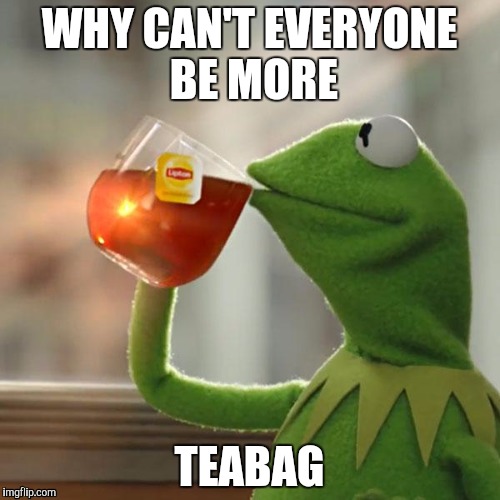 But That's None Of My Business | WHY CAN'T EVERYONE BE MORE; TEABAG | image tagged in memes,but thats none of my business,kermit the frog | made w/ Imgflip meme maker