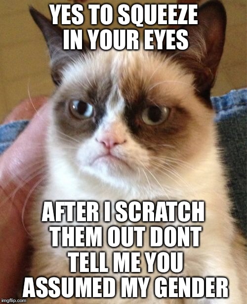 Grumpy Cat Meme | YES TO SQUEEZE IN YOUR EYES AFTER I SCRATCH THEM OUT DONT TELL ME YOU ASSUMED MY GENDER | image tagged in memes,grumpy cat | made w/ Imgflip meme maker