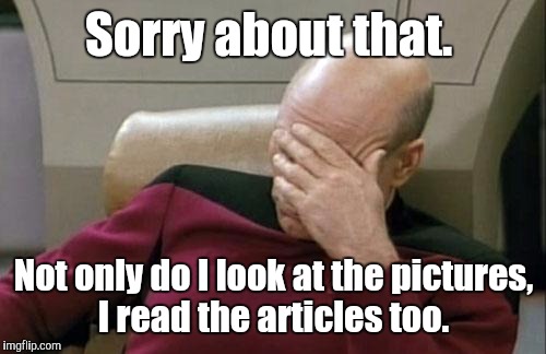 Captain Picard Facepalm Meme | Sorry about that. Not only do I look at the pictures, I read the articles too. | image tagged in memes,captain picard facepalm | made w/ Imgflip meme maker