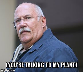 Bailbonds | (YOU'RE TALKING TO MY PLANT) | image tagged in bailbonds | made w/ Imgflip meme maker