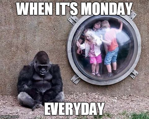 Monday happens  | WHEN IT'S MONDAY; EVERYDAY | image tagged in mondays | made w/ Imgflip meme maker