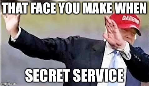THAT FACE YOU MAKE WHEN SECRET SERVICE | image tagged in donald trump dab | made w/ Imgflip meme maker