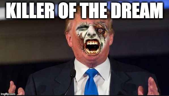 KILLER OF THE DREAM | image tagged in memes | made w/ Imgflip meme maker