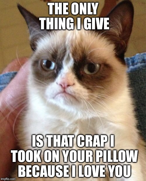 Grumpy Cat Meme | THE ONLY THING I GIVE IS THAT CRAP I TOOK ON YOUR PILLOW BECAUSE I LOVE YOU | image tagged in memes,grumpy cat | made w/ Imgflip meme maker