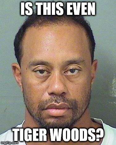 Image tagged in tiger woods dui mugshot - Imgflip