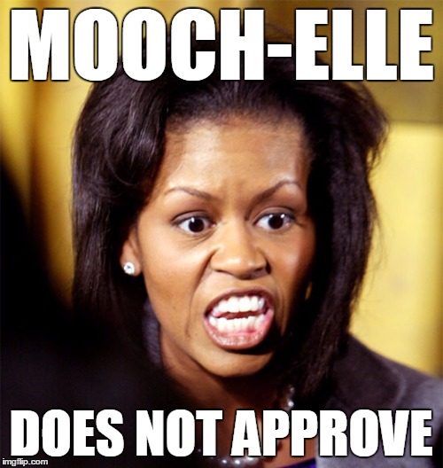 MOOCH-ELLE DOES NOT APPROVE | made w/ Imgflip meme maker