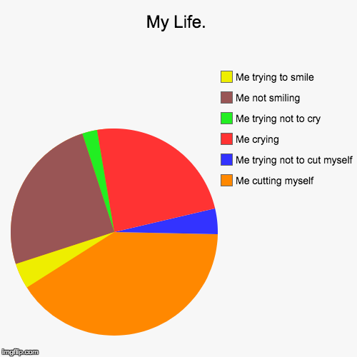 image tagged in funny,pie charts | made w/ Imgflip chart maker
