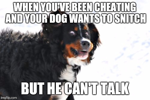 Crazy Dawg | WHEN YOU'VE BEEN CHEATING AND YOUR DOG WANTS TO SNITCH; BUT HE CAN'T TALK | image tagged in memes,crazy dawg | made w/ Imgflip meme maker
