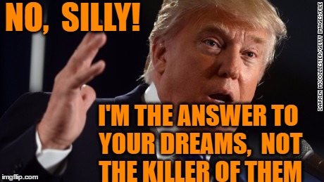 NO,  SILLY! I'M THE ANSWER TO YOUR DREAMS,  NOT THE KILLER OF THEM | made w/ Imgflip meme maker