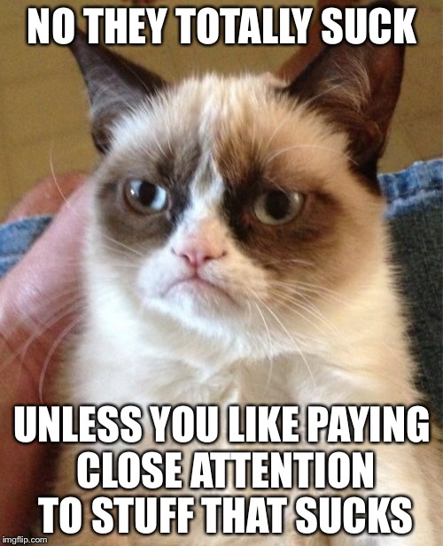 Grumpy Cat Meme | NO THEY TOTALLY SUCK UNLESS YOU LIKE PAYING CLOSE ATTENTION TO STUFF THAT SUCKS | image tagged in memes,grumpy cat | made w/ Imgflip meme maker