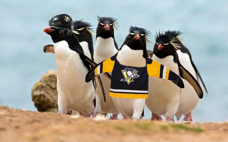Penguins Win Blank Meme Template