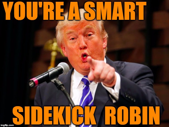 trump point | YOU'RE A SMART SIDEKICK  ROBIN | image tagged in trump point | made w/ Imgflip meme maker