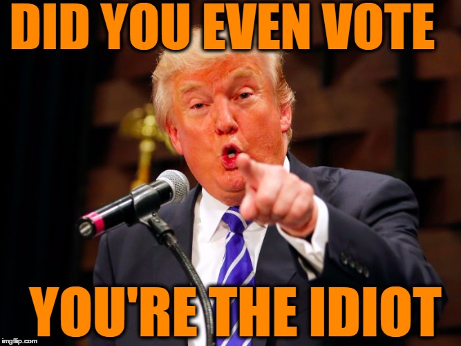 trump point | DID YOU EVEN VOTE YOU'RE THE IDIOT | image tagged in trump point | made w/ Imgflip meme maker